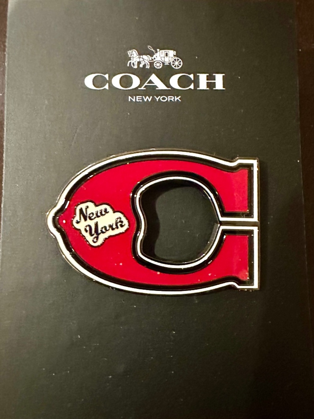 Coach Varisty Letter Pin
